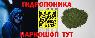 стафф Кулебаки