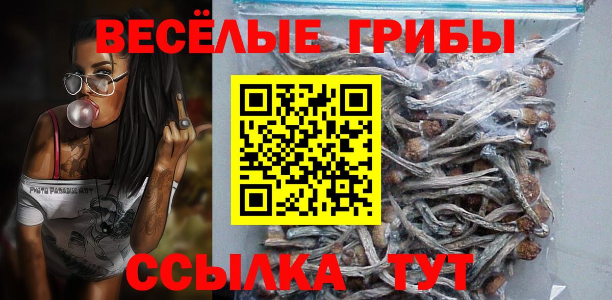 Зерноград  Галлюциногенные грибы GOLDEN TEACHER  Галлюциногенные грибы Magic Shrooms  Вход с VPN 
